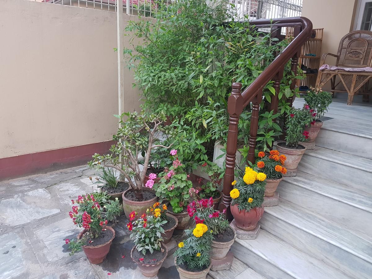 Cozy Home Jawlakhel Zewnętrze zdjęcie